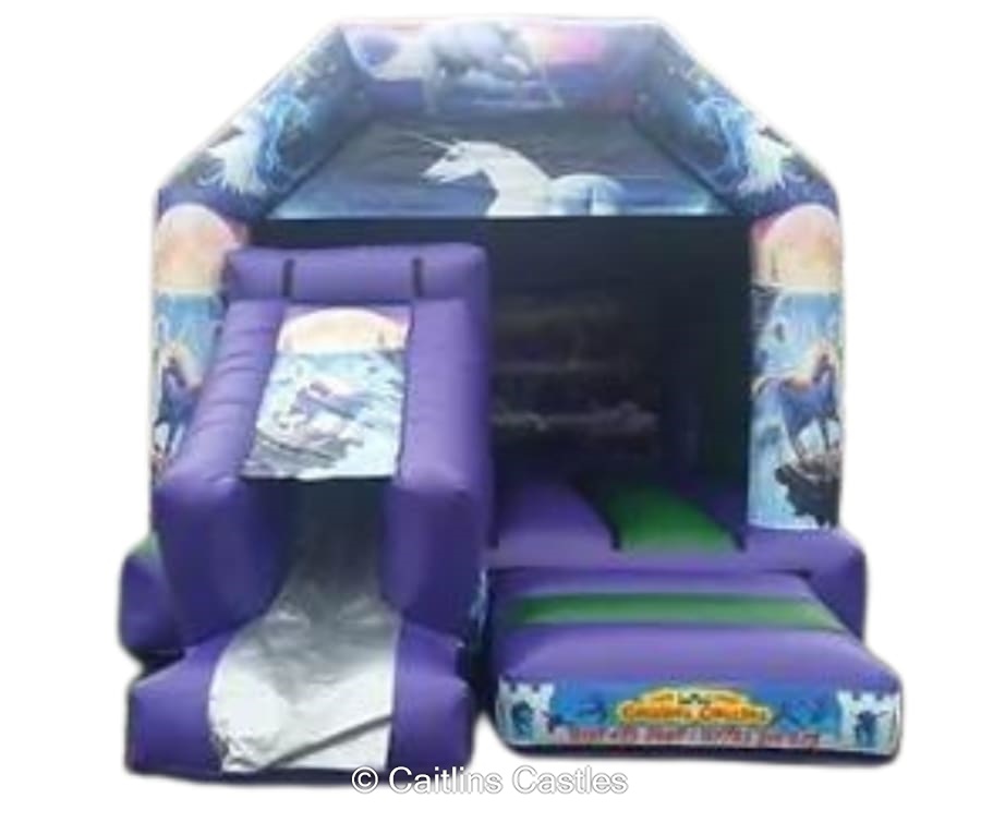 Inflatable Slide Bouncer hire in Liverpool